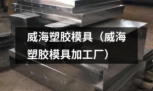 威海塑膠模具（威海塑膠模具加工廠）