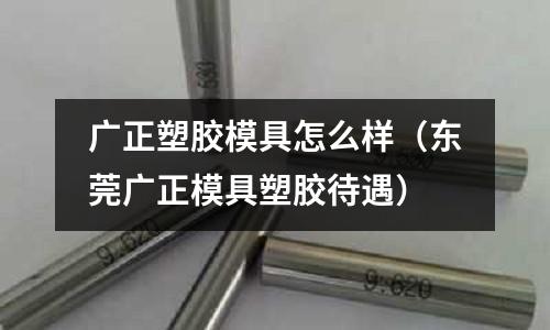 廣正塑膠模具怎么樣（東莞廣正模具塑膠待遇）