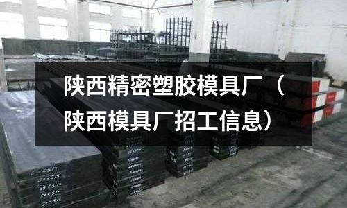 陜西精密塑膠模具廠（陜西模具廠招工信息）