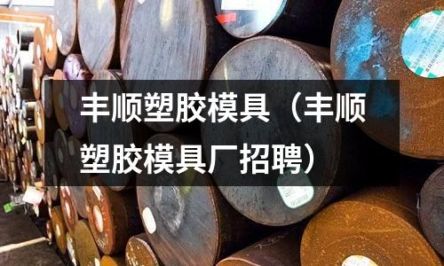 豐順?biāo)苣z模具（豐順?biāo)苣z模具廠招聘）