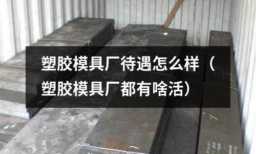 塑膠模具廠待遇怎么樣（塑膠模具廠都有啥活）