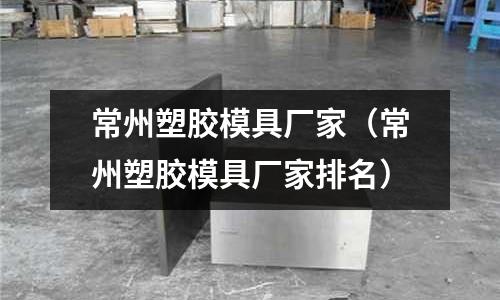 常州塑膠模具廠家（常州塑膠模具廠家排名）