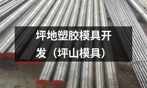 坪地塑膠模具開發(fā)（坪山模具）