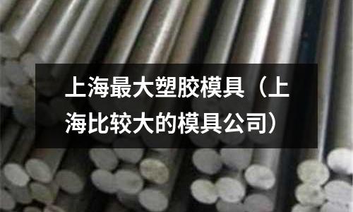 上海最大塑膠模具（上海比較大的模具公司）