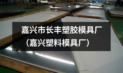 嘉興市長豐塑膠模具廠（嘉興塑料模具廠）