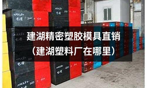 建湖精密塑膠模具直銷（建湖塑料廠在哪里）