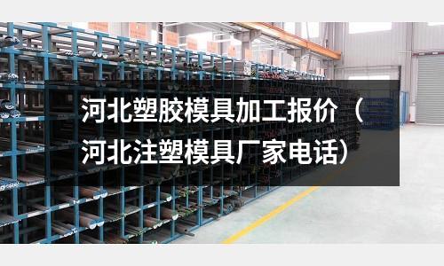 河北塑膠模具加工報價（河北注塑模具廠家電話）