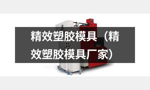 精效塑膠模具（精效塑膠模具廠家）