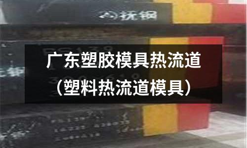 廣東塑膠模具熱流道（塑料熱流道模具）