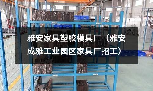 雅安家具塑膠模具廠（雅安成雅工業(yè)園區(qū)家具廠招工）