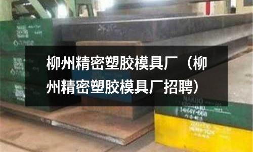 柳州精密塑膠模具廠（柳州精密塑膠模具廠招聘）