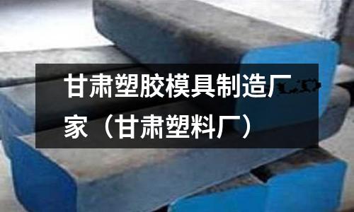 甘肅塑膠模具制造廠家（甘肅塑料廠）