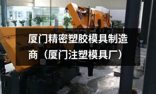 廈門精密塑膠模具制造商（廈門注塑模具廠）