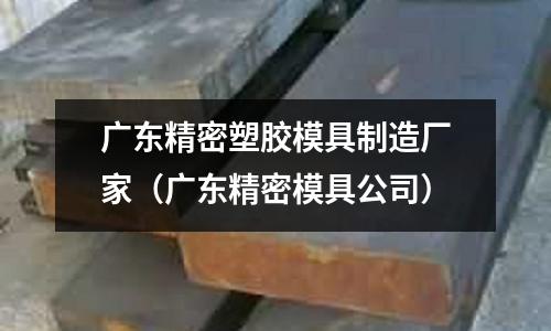 廣東精密塑膠模具制造廠家（廣東精密模具公司）