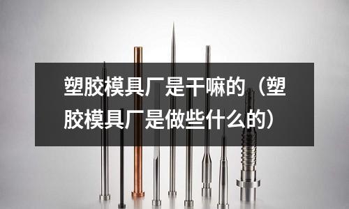 塑膠模具廠是干嘛的（塑膠模具廠是做些什么的）