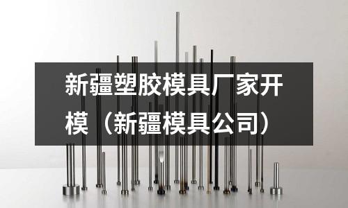 新疆塑膠模具廠家開模（新疆模具公司）