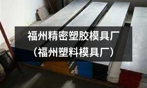 福州精密塑膠模具廠（福州塑料模具廠）