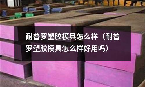 耐普羅塑膠模具怎么樣（耐普羅塑膠模具怎么樣好用嗎）