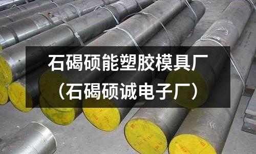 石碣碩能塑膠模具廠（石碣碩誠(chéng)電子廠）