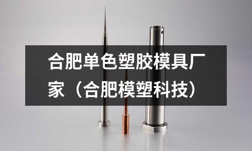 合肥單色塑膠模具廠(chǎng)家（合肥模塑科技）