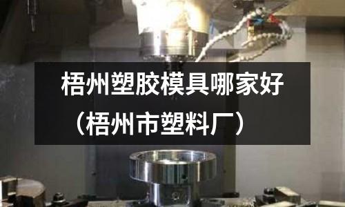 梧州塑膠模具哪家好（梧州市塑料廠）