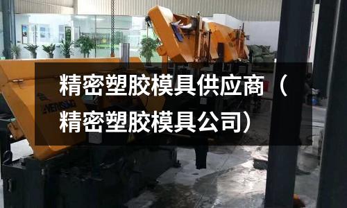 精密塑膠模具供應商（精密塑膠模具公司）