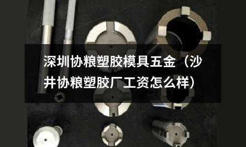 深圳協(xié)糧塑膠模具五金（沙井協(xié)糧塑膠廠工資怎么樣）