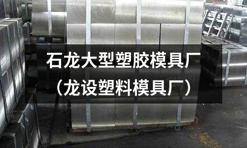 石龍大型塑膠模具廠（龍?jiān)O(shè)塑料模具廠）