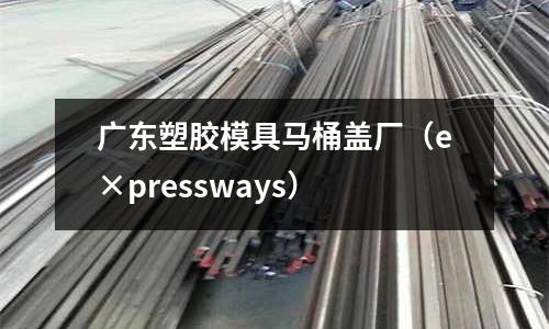 廣東塑膠模具馬桶蓋廠（e×pressways）