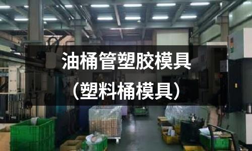 油桶管塑膠模具（塑料桶模具）