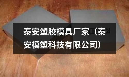 泰安塑膠模具廠家（泰安模塑科技有限公司）