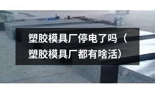 塑膠模具廠停電了嗎（塑膠模具廠都有啥活）