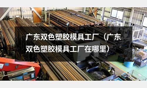 廣東雙色塑膠模具工廠（廣東雙色塑膠模具工廠在哪里）