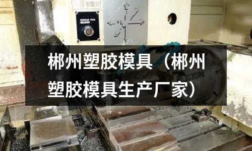 郴州塑膠模具（郴州塑膠模具生產(chǎn)廠家）