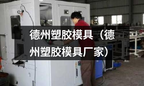 德州塑膠模具（德州塑膠模具廠家）