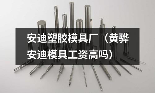 安迪塑膠模具廠（黃驊安迪模具工資高嗎）