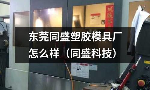 東莞同盛塑膠模具廠怎么樣（同盛科技）