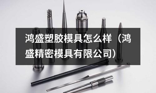 鴻盛塑膠模具怎么樣（鴻盛精密模具有限公司）