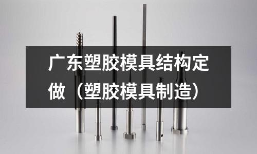 廣東塑膠模具結(jié)構(gòu)定做（塑膠模具制造）