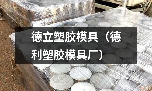 德立塑膠模具（德利塑膠模具廠）