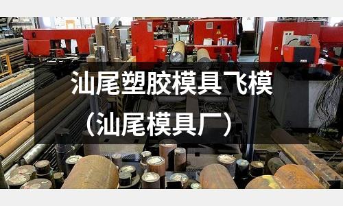 汕尾塑膠模具飛模（汕尾模具廠）