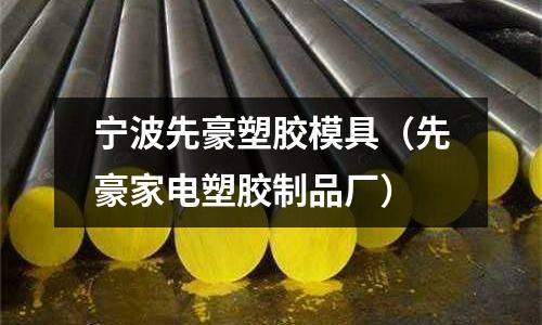 寧波先豪塑膠模具（先豪家電塑膠制品廠）