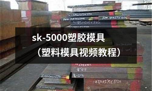 sk-5000塑膠模具（塑料模具視頻教程）