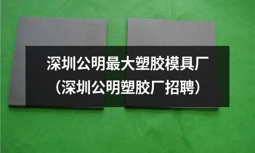 深圳公明最大塑膠模具廠（深圳公明塑膠廠招聘）