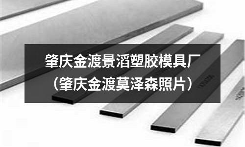 肇慶金渡景滔塑膠模具廠（肇慶金渡莫澤森照片）