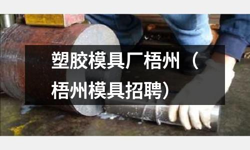 塑膠模具廠梧州（梧州模具招聘）