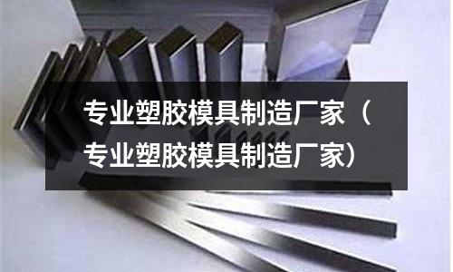 專業(yè)塑膠模具制造廠家（專業(yè)塑膠模具制造廠家）