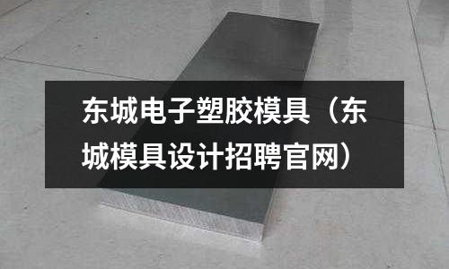 東城電子塑膠模具（東城模具設(shè)計(jì)招聘官網(wǎng)）