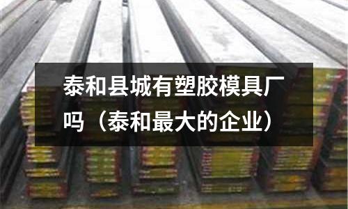 泰和縣城有塑膠模具廠嗎（泰和最大的企業(yè)）