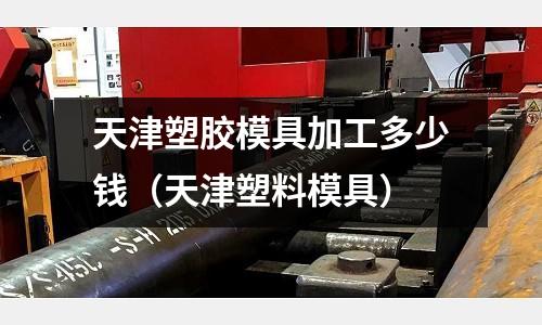 天津塑膠模具加工多少錢(qián)（天津塑料模具）